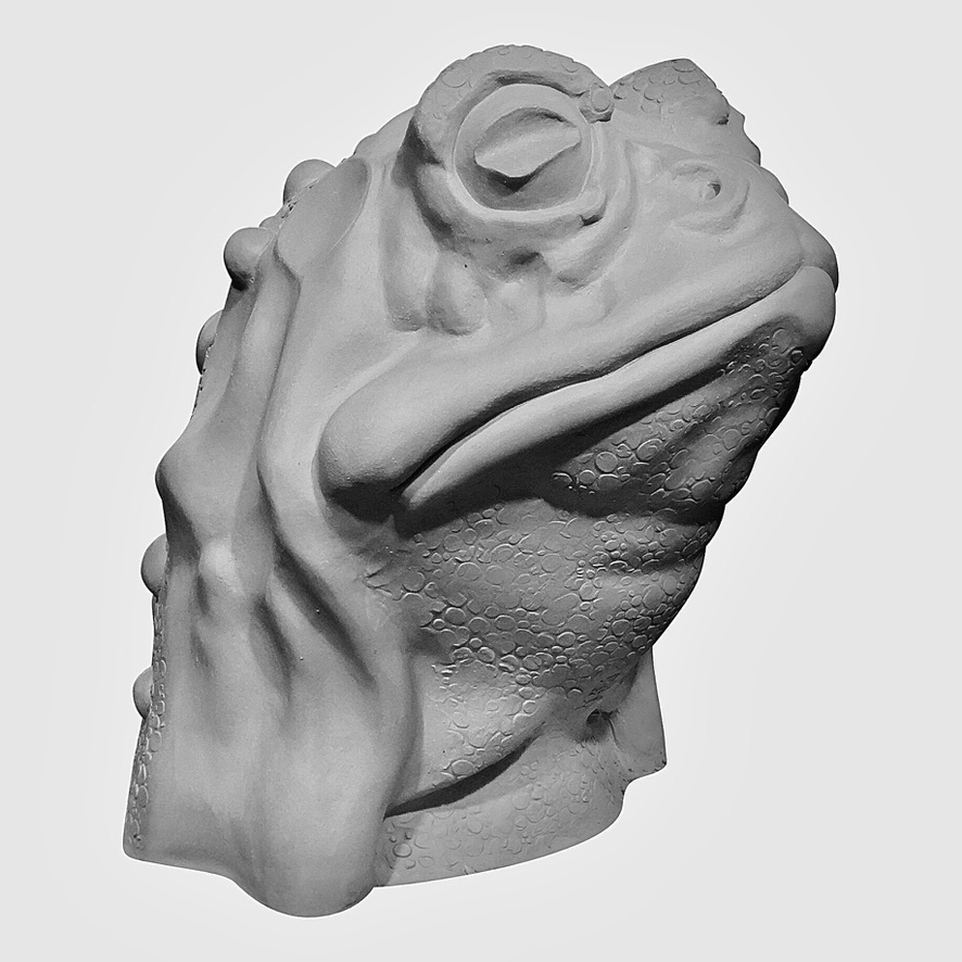 Eigenwijs, een witte kop van een pad gemaakt van polyesterhars door Jola Geldermans, vrij werk, 2023.