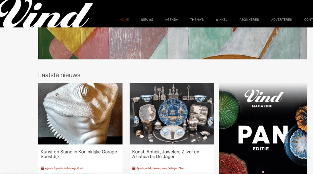 Voorpagina van kunstblad VIND, september 2023, met  beeld Kameleon van Jola Geldermans.